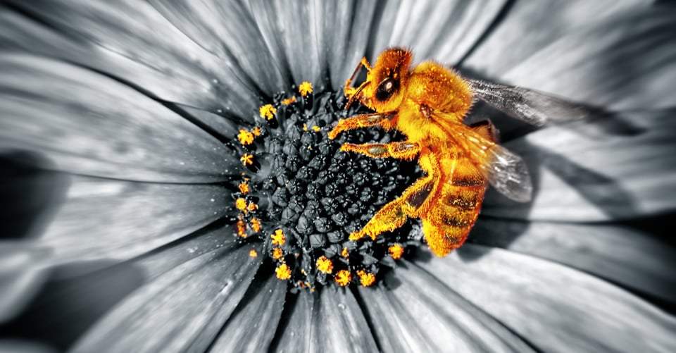 Your Property's Reactive Mindset Could Cause Unintended Harm