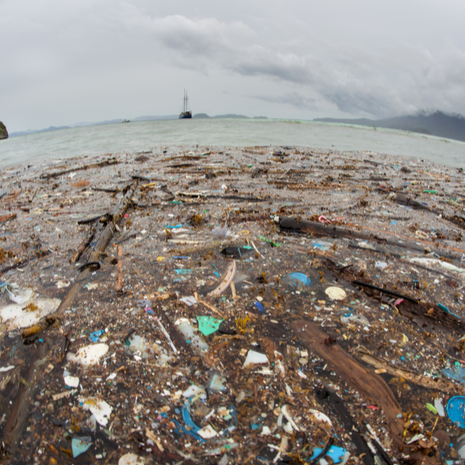 Struggling to Achieve Maximum Performance? You Need to Do This.