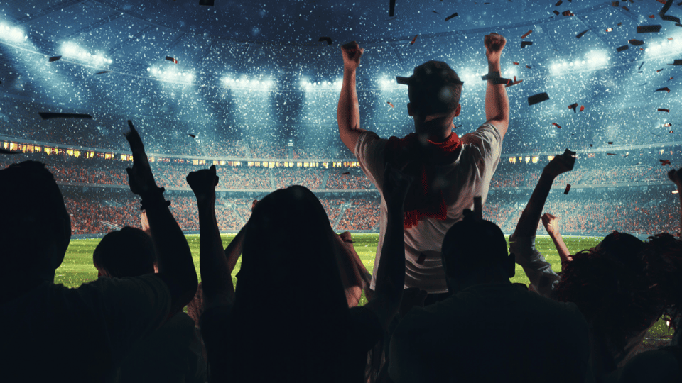 Discovering the Real Value in Identifying Fans Involved in Incidents