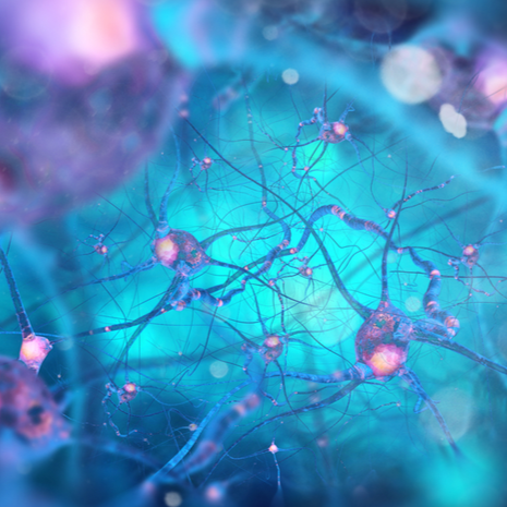 What Makes Your Property Unique?